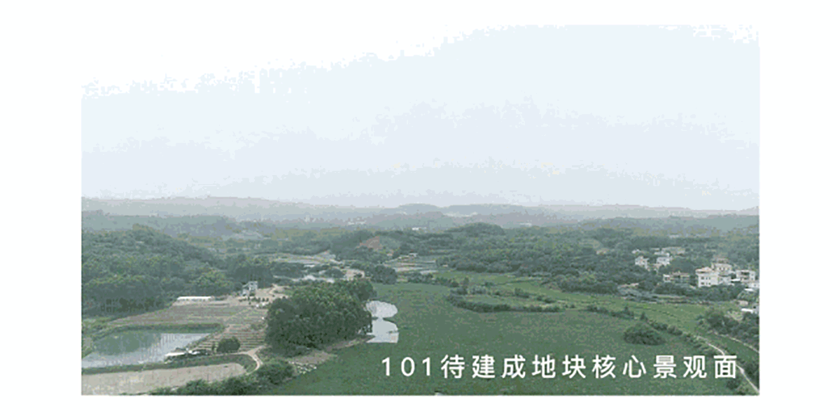 动图.gif