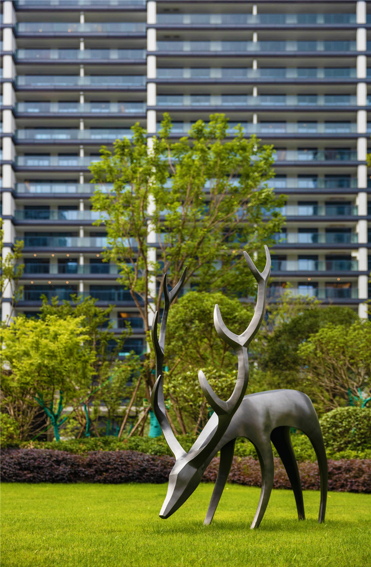 缩小-_J7A7771.jpg