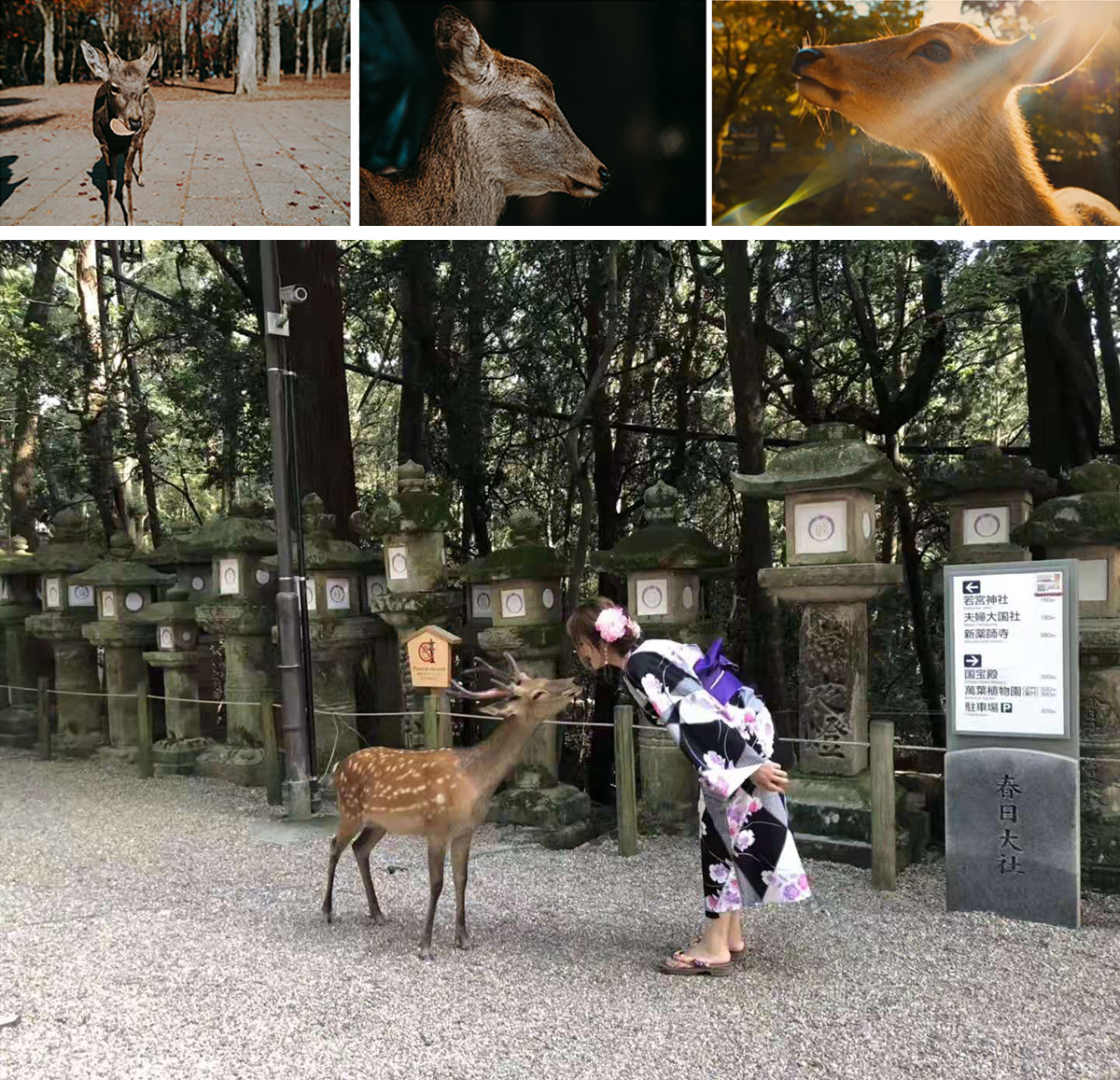 7副本.jpg